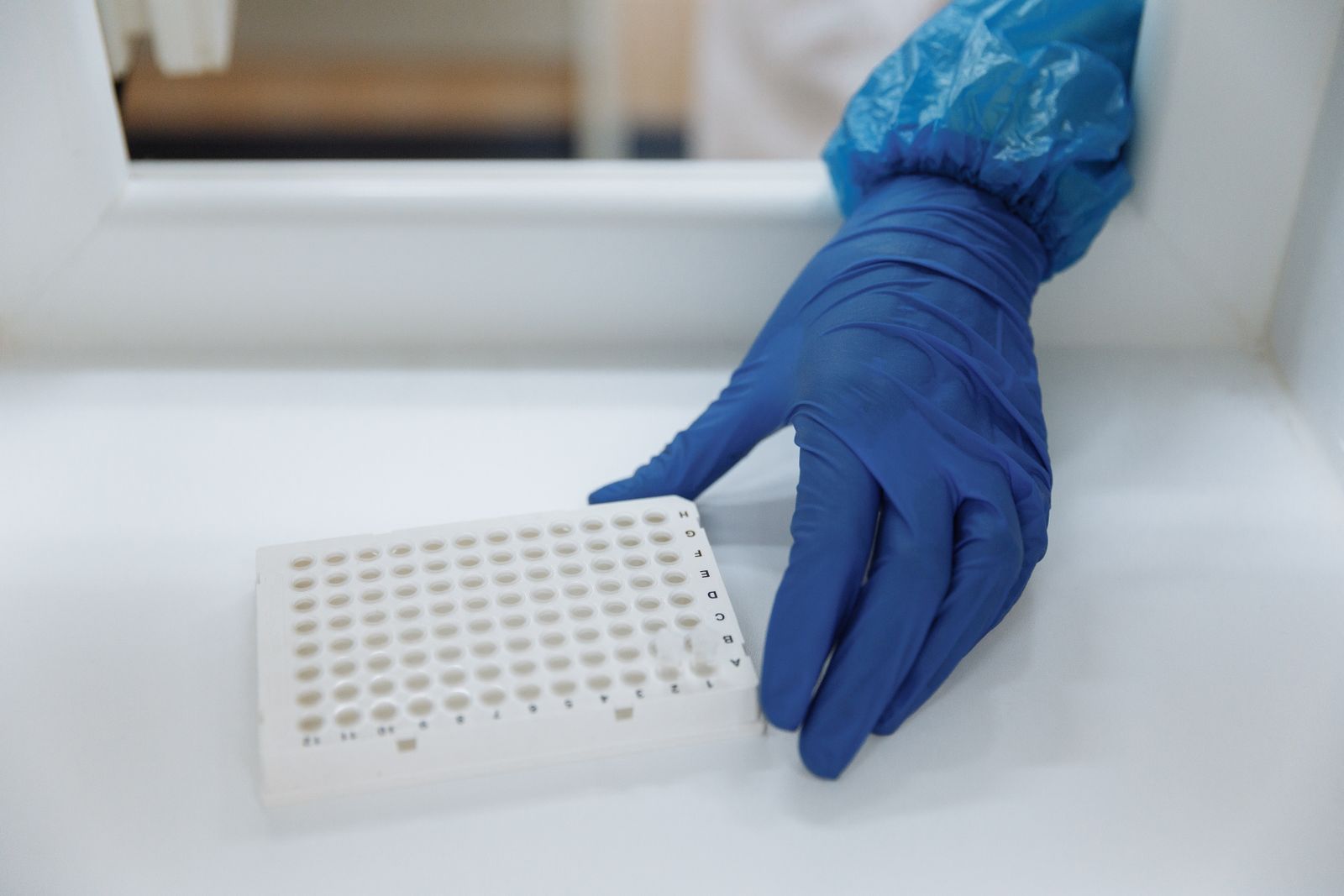 Gloved laboratory technician handling a sample analysis tray at a lab workstation